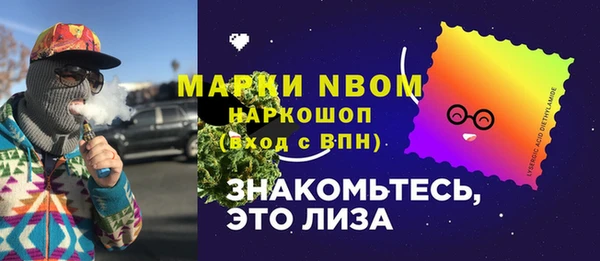 индика Зеленодольск